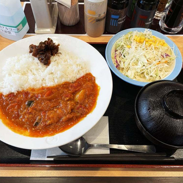 彩り野菜煮込みカレーの並盛 生野菜セットを食べてみた 〜松屋・期間限定〜