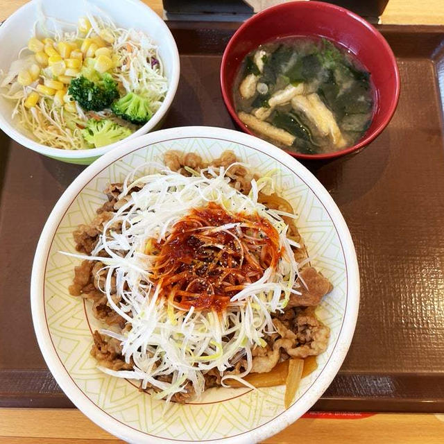 赤だれ白髪ねぎ牛丼中盛ランチセットを食す 〜すき家〜