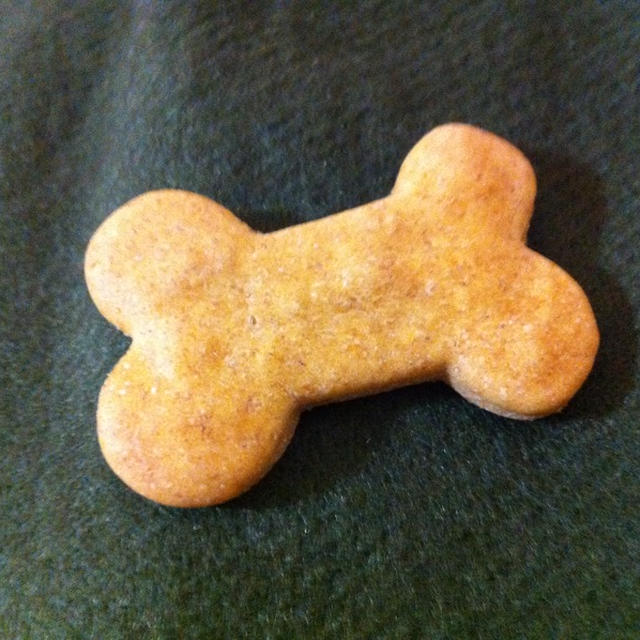 イイコトあったから愛犬にご褒美