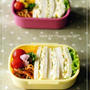 たまきゅうサンドのお弁当