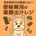 更年期世代の方の腸活によし！便秘解消の薬膳出汁レシピとは？！