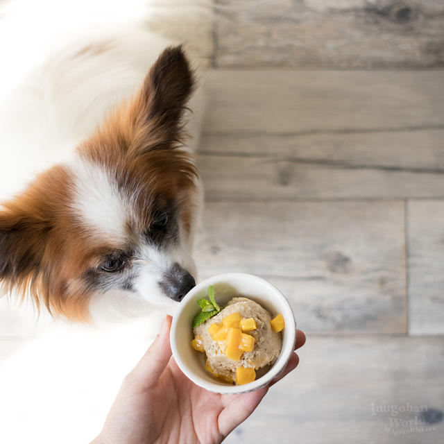 ■犬の熱中症対策に♡犬用アイスの作り方（手作り犬おやつレシピ）