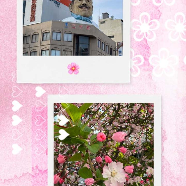 浅草・かっぱ橋道具街～亀戸から移動して久しぶりのかっぱ橋道具街