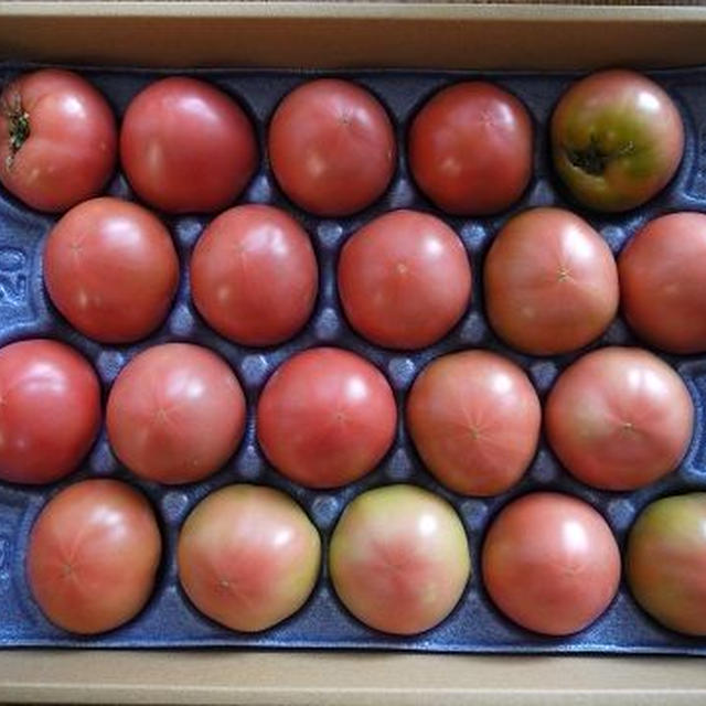 【トマトでつくるカフェごはん】フレッシュトマトとアンチョビのパスタ