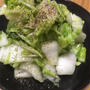 白菜のサラダ