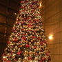 メリークリスマス