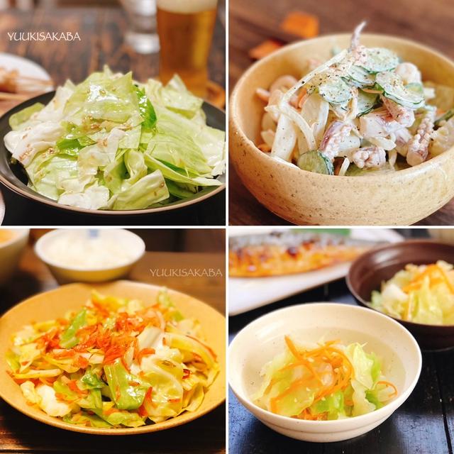 春キャベツで作りたい！やみつきおつまみ＆副菜レシピ4選