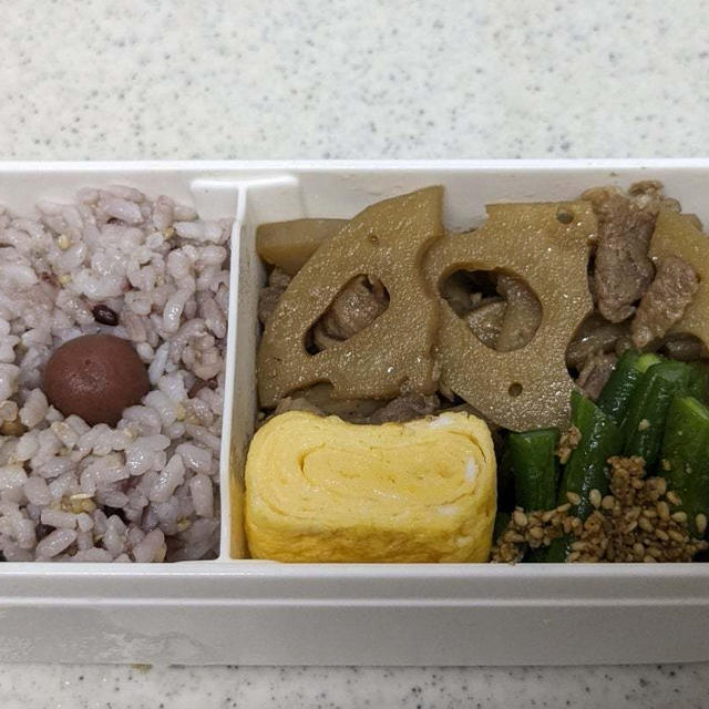 わたしのお弁当　〜豚れんこんのお弁当〜