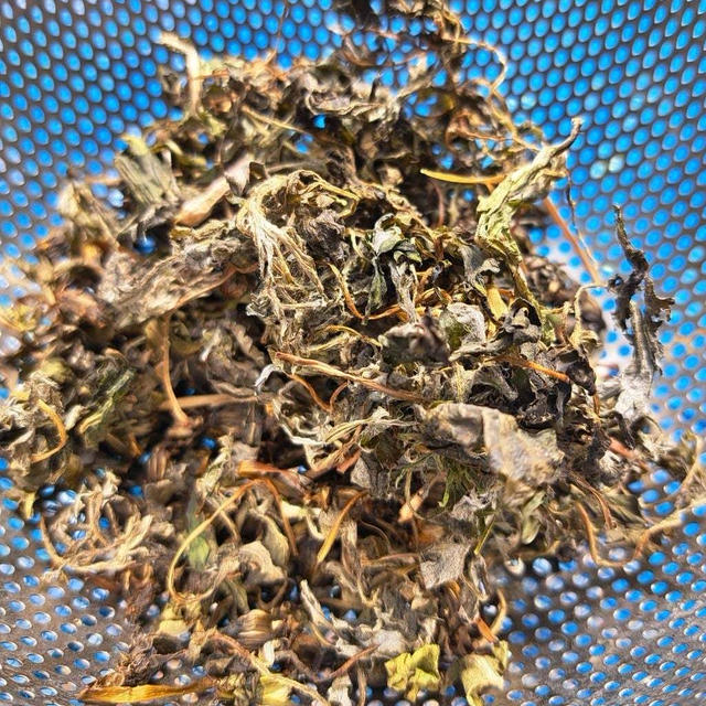 プチ薬膳