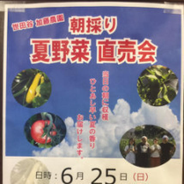 500円の馬丼10年ぶりに足を運びました。#熊本 にある #味の屋台村 #熊本空...