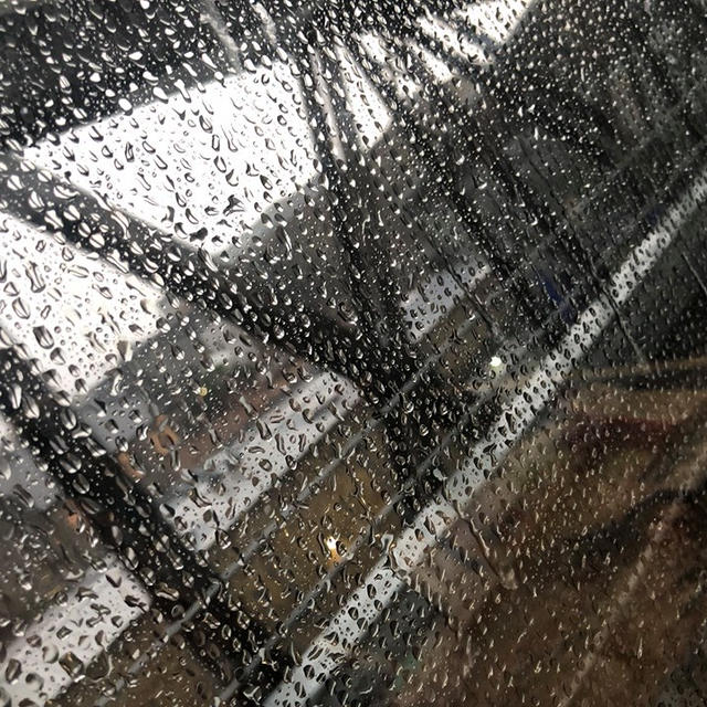 つかの間の息抜き・雨のロンドン