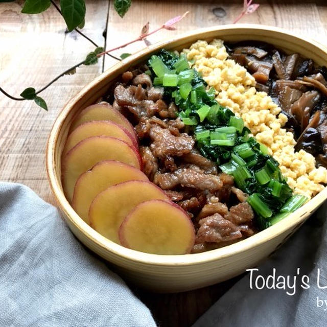 パパの✳︎秋の五色丼弁当♡