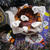 可愛いおばけがいっぱいのハロウィン風なベイクドチーズケーキ♪