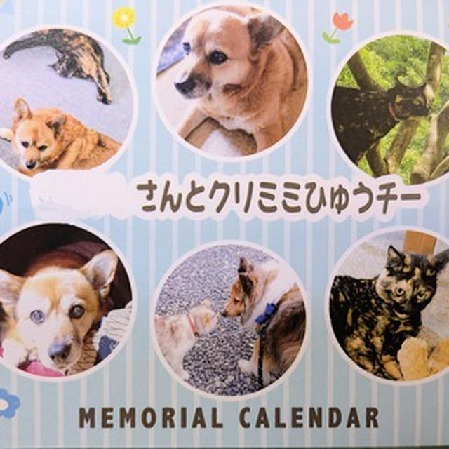 家族になったほかのワンにゃん達