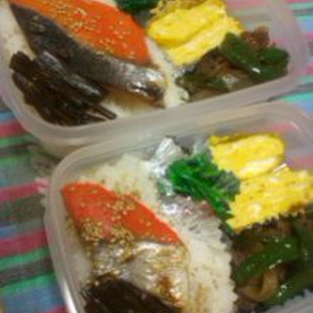 鮭弁当と鶏雑炊！！