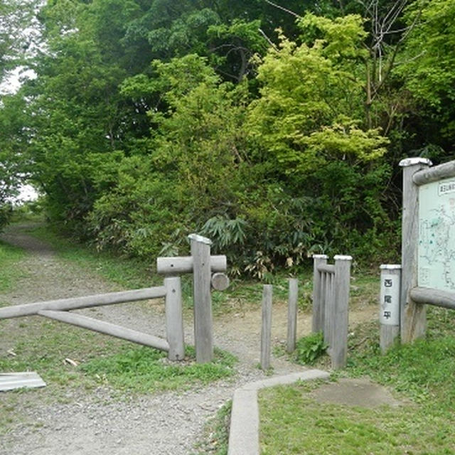医王山・山歩き　2015