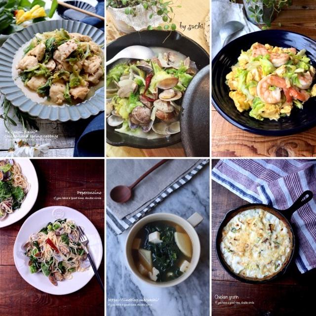 春キャベツレシピ10選♡【#簡単レシピ#春キャベツ】