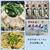 半田手延べそうめん　前田製麺工場　楽天で買えます　あたたくても冷たくても美味しい弾力のある麺