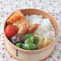【海老マヨ弁当】