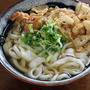 北海道の手打ちうどんの２食目は「かけうどん」で