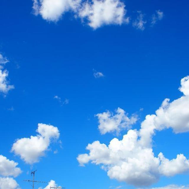 夏だぜ!!暑いぜ!!
