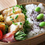 簡単・節約！！鶏むね肉半分で鶏マヨ弁当！詰め方もあわせて紹介