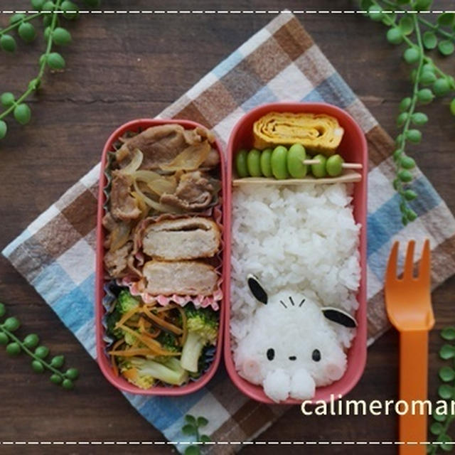 【娘のオベントウ】　ポチャッコのお弁当
