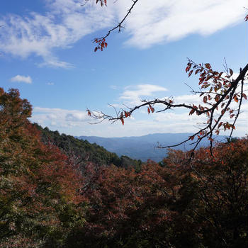 秋の遠足　～岩間寺～