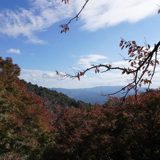 秋の遠足　～岩間寺～