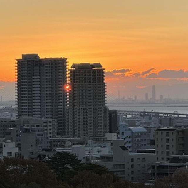 ビルの隙間から日の出
