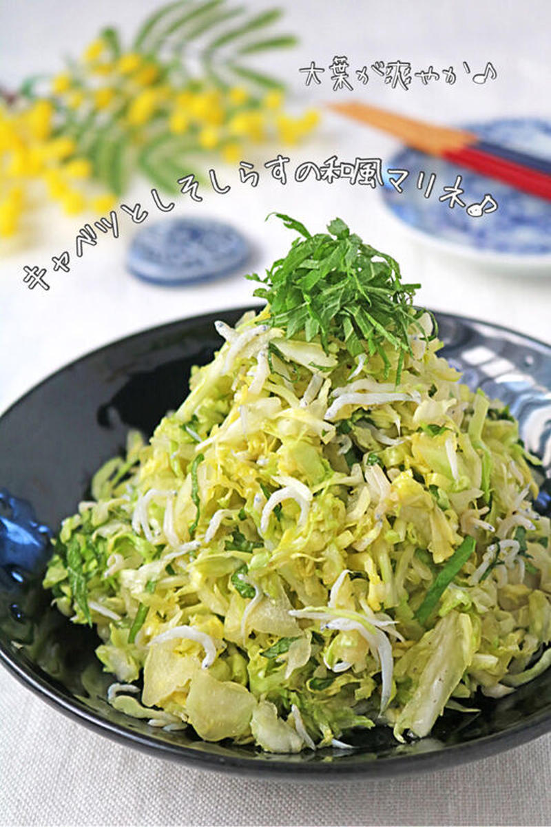 大葉が爽やか♪無限に食べられる春キャベツと大葉しらすの和風マリネ！