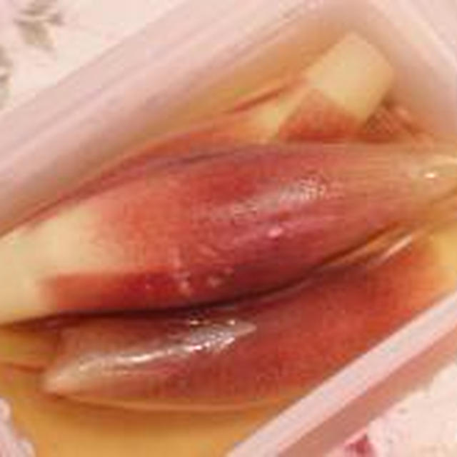 ☆みょうがのサワー漬け入り ニラ玉餡かけ丼☆