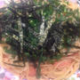 たらこパスタ