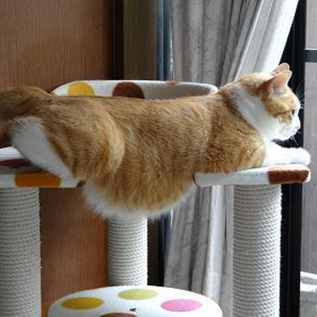らくらく安らぎ肘掛け安楽椅子・猫用