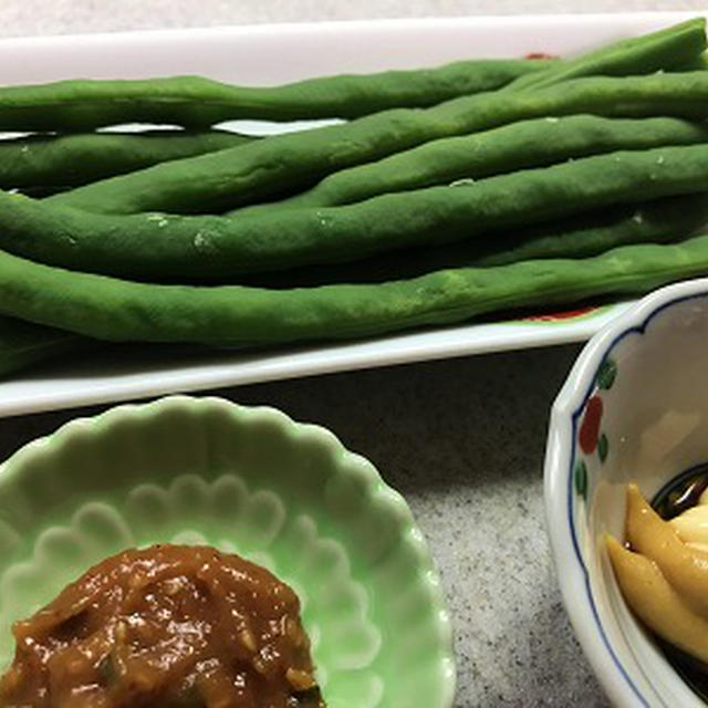 今年初収穫の庭のインゲンの塩ゆで♪