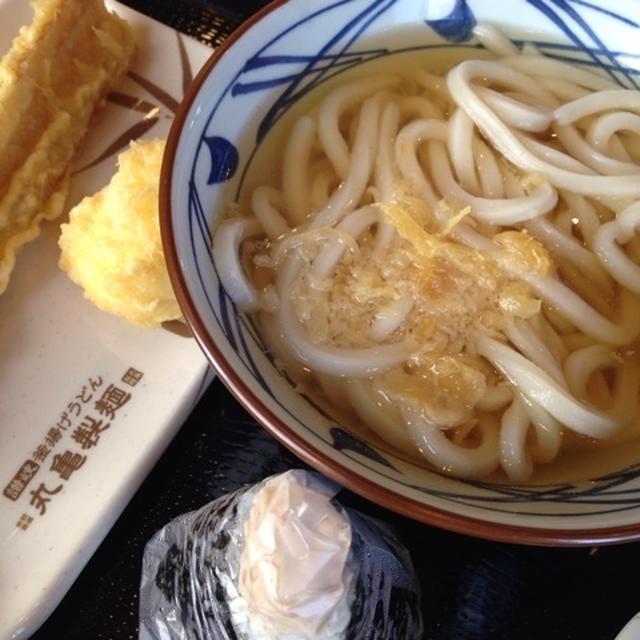 濡れ猫
