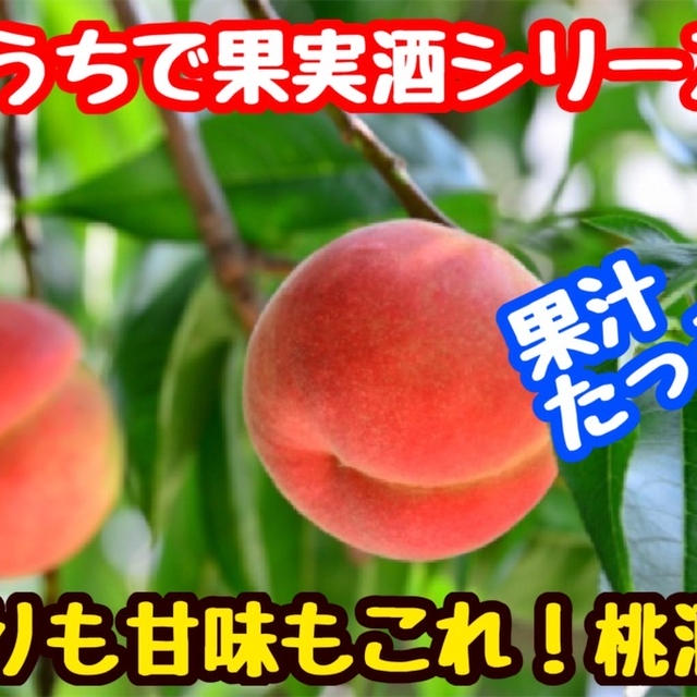 【レシピ】おうちで果実酒シリーズ！桃酒！