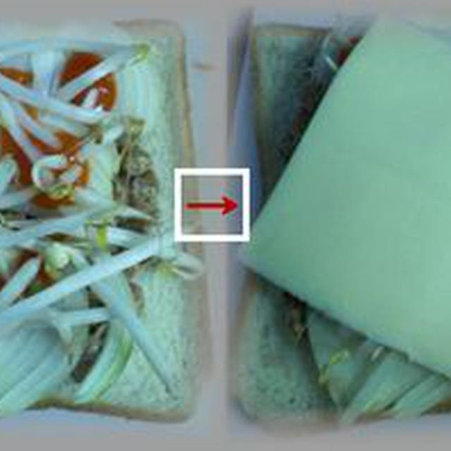 納豆ピザトースト