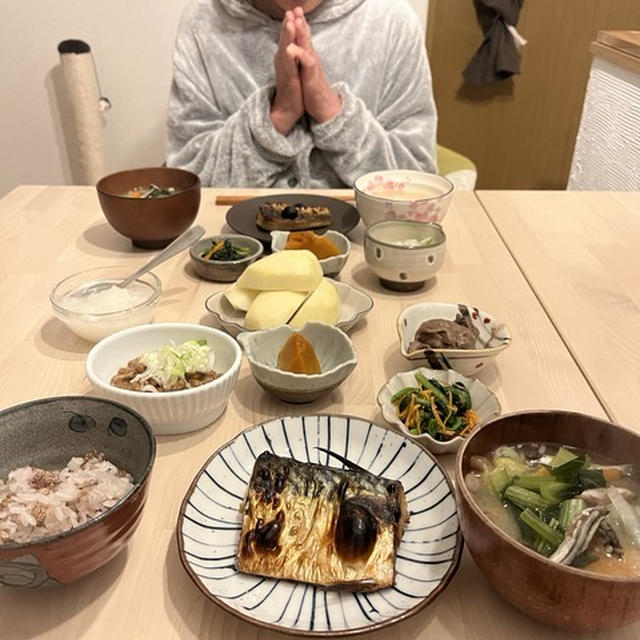 猫を抱っこで過去を思い出す