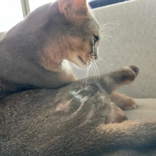 おや？こっちでもしっとり仕上げ