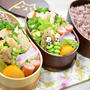 【毎日のお弁当】2/22～2/26