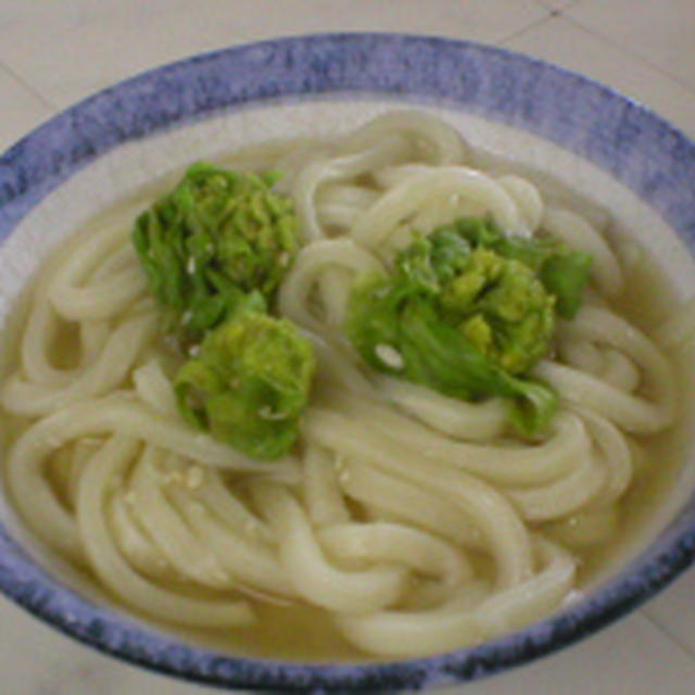 ふきのとうの味噌煮うどん