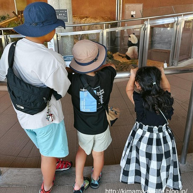 和歌山旅行記〜2日目はthe和歌山〜