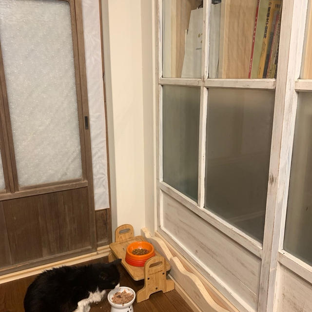 ごんぼさん状況～。