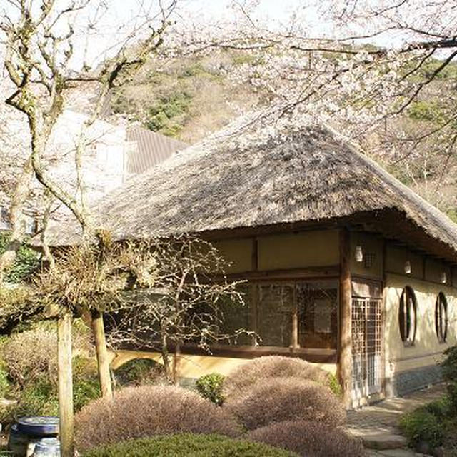 箱根４　朝食～ポーラ美術館