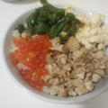 お弁当と4色朝ごはん