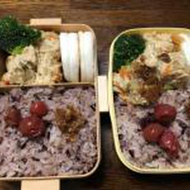 今日のお弁当