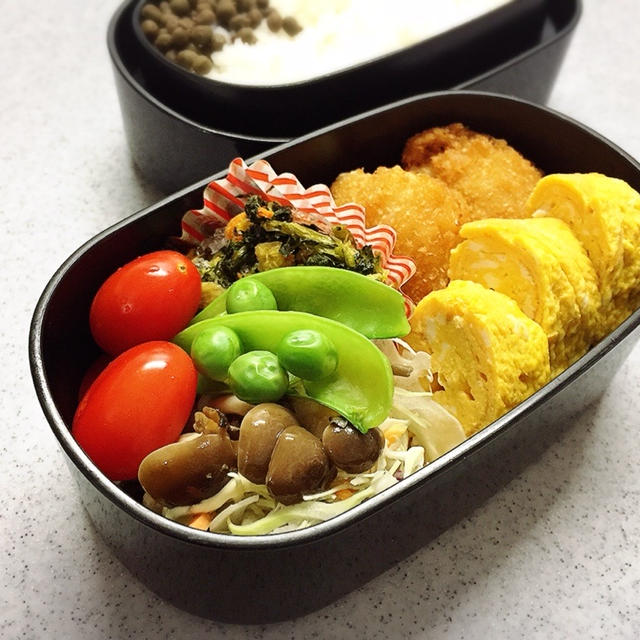 今週のお弁当まとめ