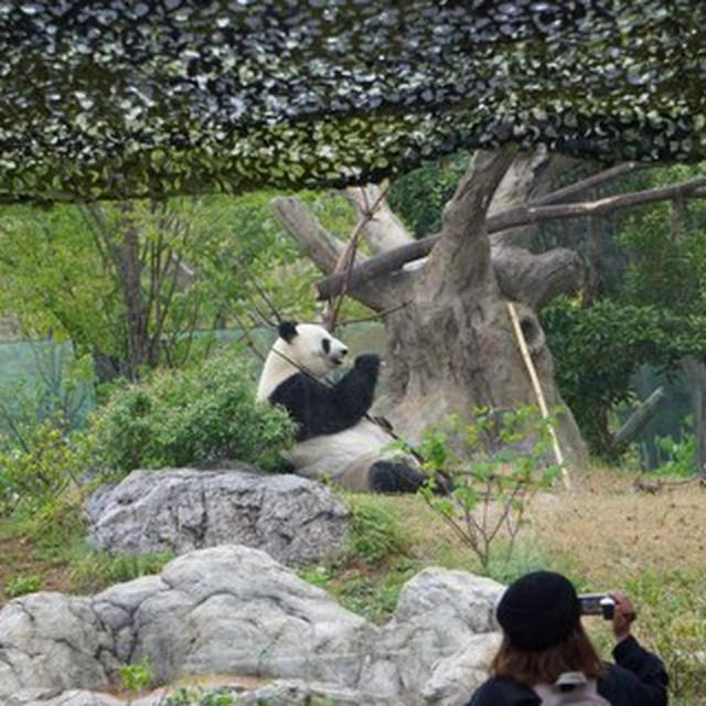初☆上野動物園に行ってきました！