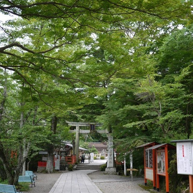 「出雲大神宮」へ遠出。